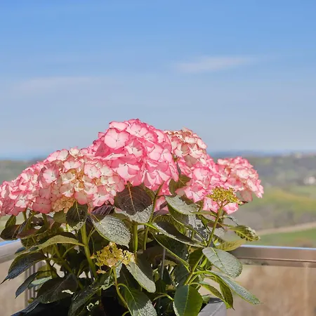 Diffuso - Il Poggetto Tra & San Marino