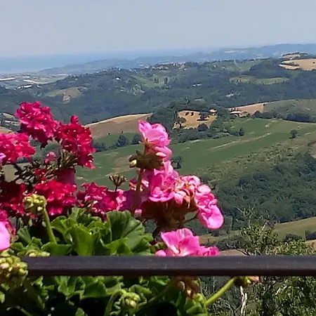 Diffuso - Il Poggetto Tra Urbino&san Marino